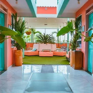 Flamingo & Coworking , Santa Marta (Magdalena) Colombia